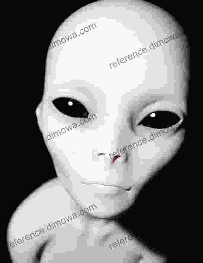 A Depiction Of A Grey Alien, Showcasing Its Slender Humanoid Form, Large Head, And Characteristic Almond Shaped Eyes Grey Alien Reports: Everything We Know About Grey Aliens