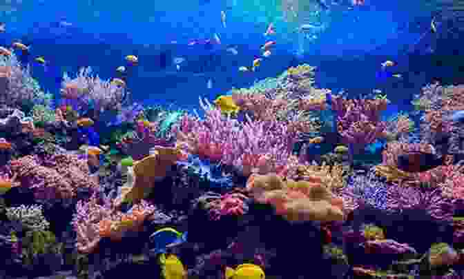 A Diver Exploring A Colorful Coral Reef Exploring Pros And Cons Of Scuba Diving: How To Equalize Pressure In The Ears Sinuses And Mask: Advantages And Disadvantages Of Diving