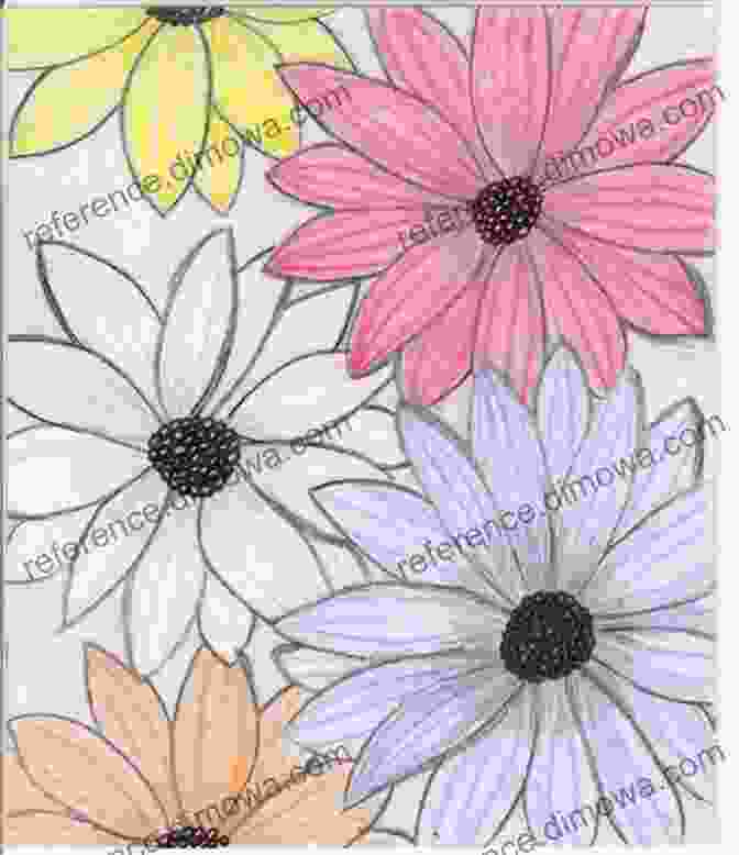 A Drawing Of A Flower My Time With Nature: Drawings And Poems