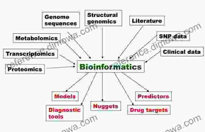 A Graphical Representation Of Bioinformatics, Where Computational Methods Are Used To Analyze Biological Data. Mathematics And Life Sciences (De Gruyter In Mathematics And Life Sciences 1)