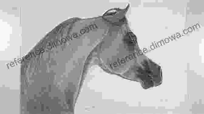 A Graphite Drawing Of A Horse, Showing The Use Of Shading And Blending To Create Form And Volume Drawing Animals: How To Create Realistic Drawings Of Animals Using Graphite Pencils