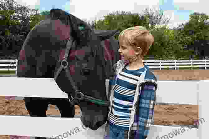 A Group Of Children Petting A Foal At Half Moon Ranch Rodeo Rocky: 2 (Horses Of Half Moon Ranch)