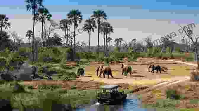 A Group Of Tourists On A Safari In Botswana, Surrounded By Elephants Our Best African Safari Yet: Adventures In Botswana