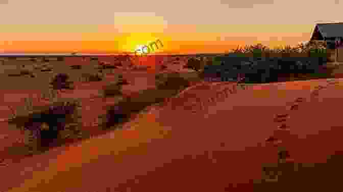 A Group Of Tourists Sitting On A Dune In The Kalahari Desert, Looking Out At The Sunset Our Best African Safari Yet: Adventures In Botswana