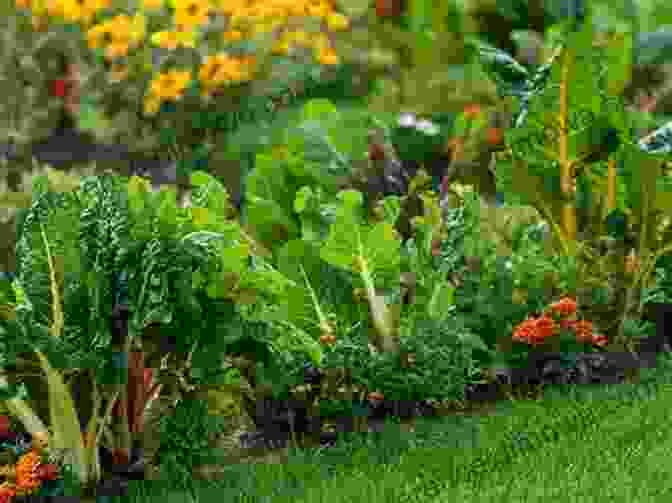 A Lush Backyard Garden With A Variety Of Vegetables, Herbs, And Flowers Backyard Vegetable Gardening: Guide To Make Your Own Backyard Organic Garden: Backyard Vegetable Garden