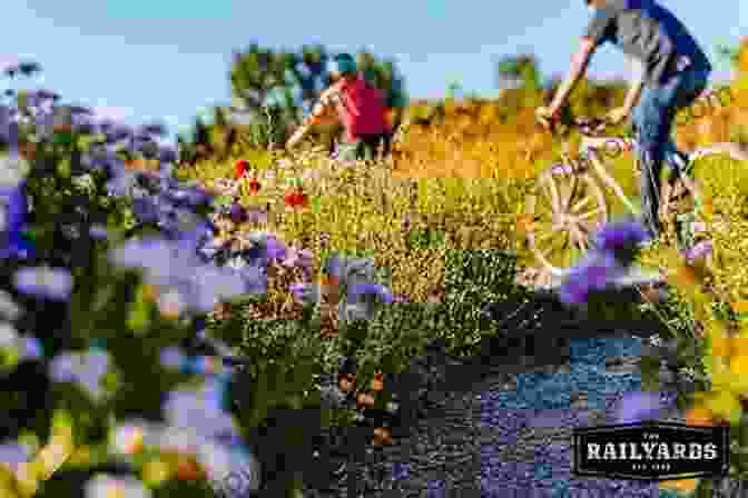 A Man On A Bicycle Riding Through A Field Of Wildflowers Listening To A Continent Sing: Birdsong By Bicycle From The Atlantic To The Pacific