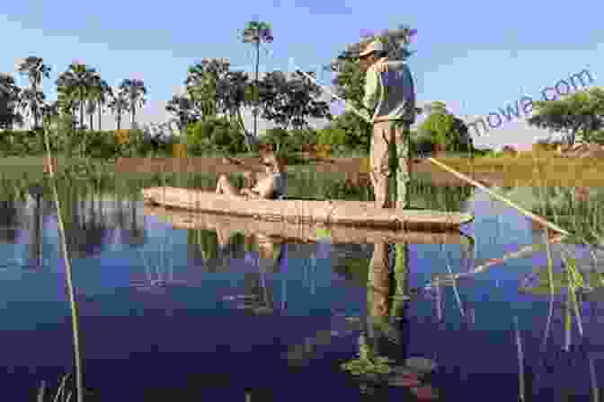 A Mokoro Canoe Floating Through The Okavango Delta, Surrounded By Tall Reeds Our Best African Safari Yet: Adventures In Botswana