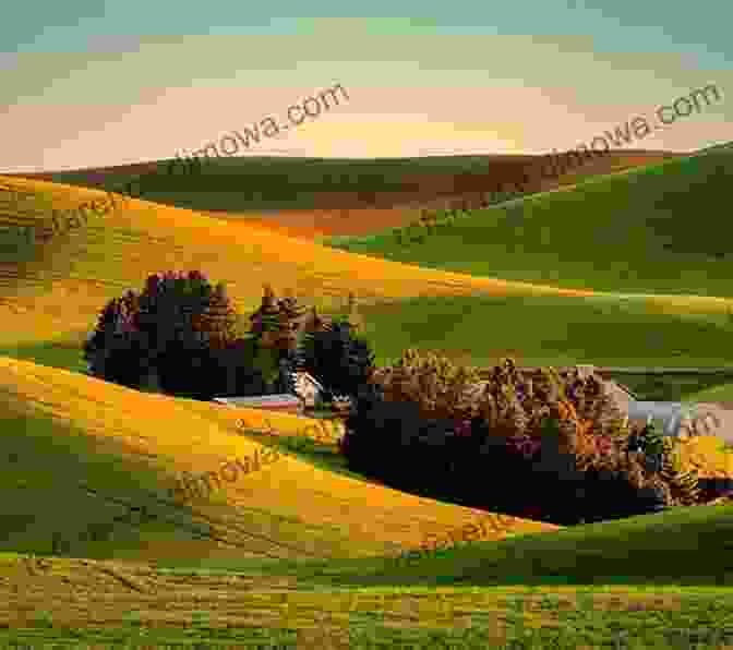 A Serene Panoramic View Of A Countryside Landscape With Rolling Hills, Lush Meadows, And A Quaint Farmhouse In The Distance. Down On The Farm: Children S About Farm Ranch Life Early Learning (What S This?)