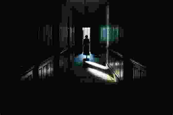 A Shadowy Figure Lurking In A Dimly Lit Hallway Of A Castle The Damned (Sadistic Souls 2)