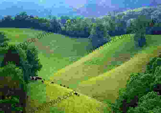 A Stunning Panoramic View Of A Tennessee State Park Featuring Rolling Hills, Dense Forests, And A Serene Lake. Discovering Tennessee State Parks Lin Stepp