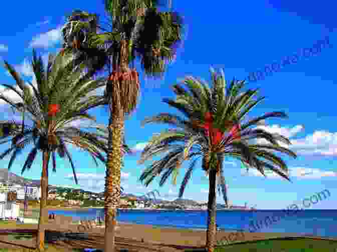 A Vibrant Photo Of Malaga, Spain, With The Beach, Palm Trees, And Mountains In The Background Super Cheap Malaga Travel Guide 2024 / 1: Enjoy A $1 000 Trip To Malaga For $110 (Super Cheap Insider Guides 2024)