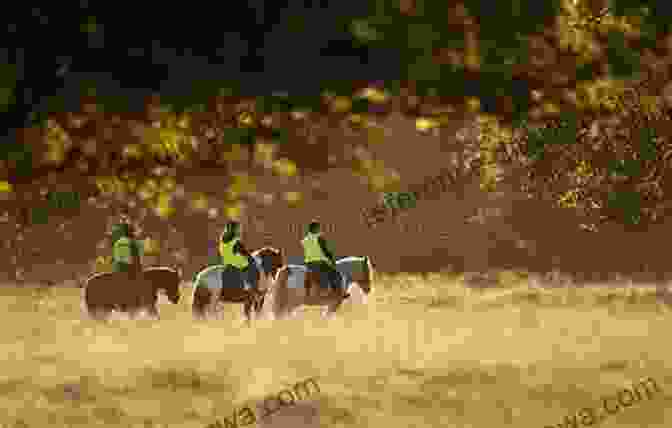 A Young Boy, His Face Filled With Determination, Leading A Group Of Horses Through A Field. The Journey: The Boy Who Lost Everything And The Horses Who Saved Him