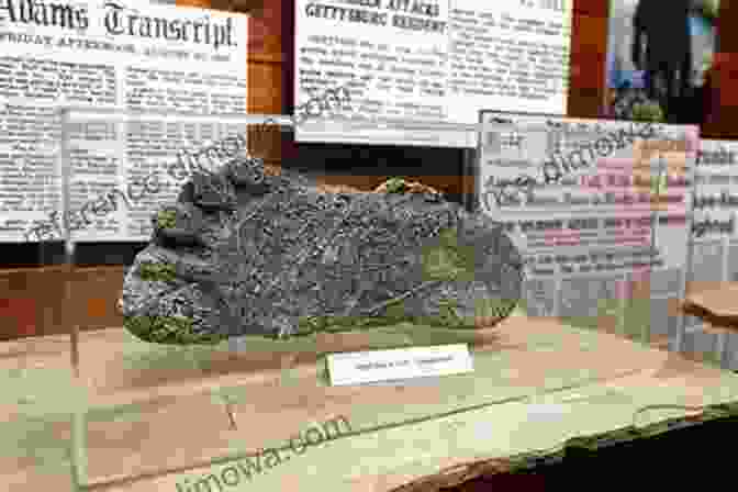 An Image Of A Large Footprint Cast, Suggesting The Presence Of A Large, Bipedal Creature The Bigfoot Gang (Benton 1)