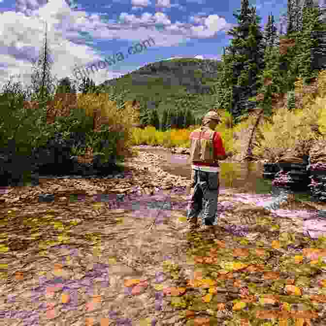 Angler Fishing In A Mountain Stream Joey S Wyoming Cutt Slam Challenge: A Guide To Wyoming S Native Cutthroat Trout Ranges