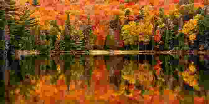 Autumn At Merritt Lake, With Vibrant Foliage And Crisp Air Twelve Months At Merritt Lake