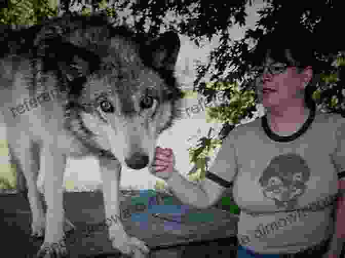 Ayla And Her Wolf Companions WOLF DAWN A L Kaplan