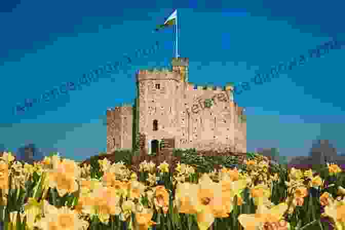 Cardiff Castle, A Majestic Fortress With A Rich History Castle Walks Around Newport And Cardiff: Nine Walks From Castles