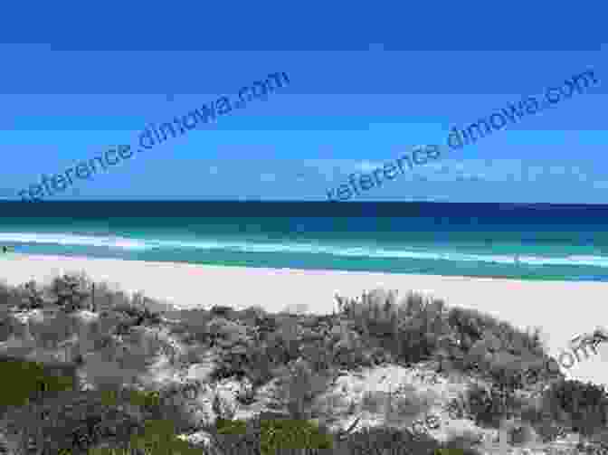 Cottesloe Beach With White Sand And Turquoise Water Where To Take Visitors In PERTH