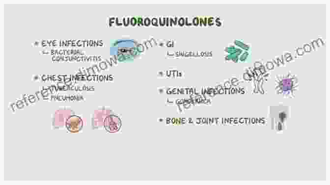 Fluoroquinolone Antibiotics: Effective Against Bacterial Infections Organofluorine Compounds In Biology And Medicine