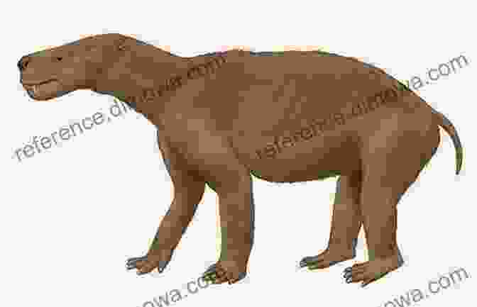 Fossil Of A Purgacephalus, An Early Mammal From The Paleocene Period A History Of Life In 100 Fossils