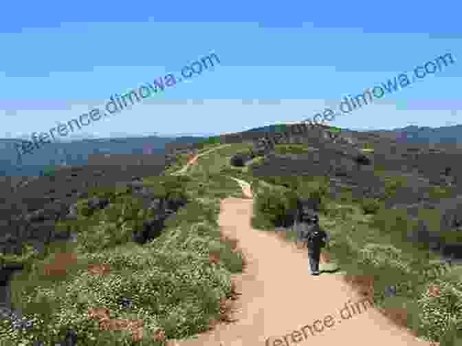 Hiker On A Trail In Topanga State Park Hollywood Escapes: The Moviegoer S Guide To Exploring Southern California S Great Outdoors