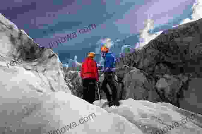 Hikers Admiring The Panoramic View From The Summit Of A Mountain In New Zealand Face Of The Mountain ~ True New Zealand Alpine Hiking Adventures: True New Zealand Alkpine Hiking Adventures