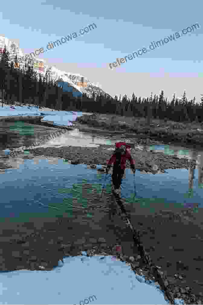 Hikers Crossing A River Using A Log As A Makeshift Bridge In New Zealand Face Of The Mountain ~ True New Zealand Alpine Hiking Adventures: True New Zealand Alkpine Hiking Adventures