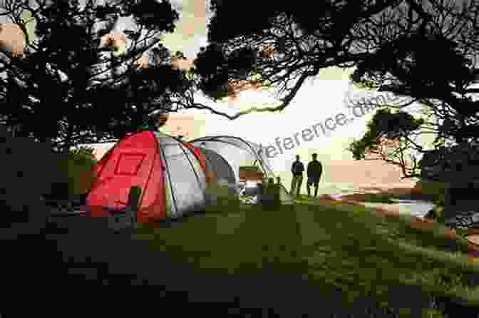 Hikers Resting At A Campsite In New Zealand Face Of The Mountain ~ True New Zealand Alpine Hiking Adventures: True New Zealand Alkpine Hiking Adventures