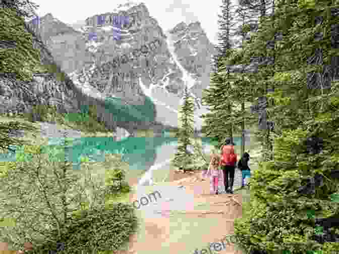 Hiking Trail Winding Through A Forest In Banff National Park Canada S Banff National Park Vancouver On The 15th