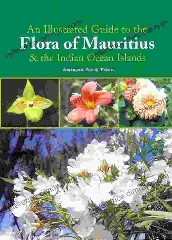 Illustrated Guide to the Flora of Mauritius and Indian Ocean Islands