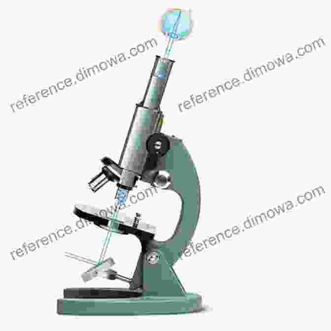 Optical Microscope Light And Optics: Principles And Practices