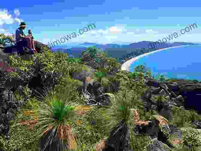 Panoramic View Of Hinchinbrook Island A Hike On Hinchinbrook Island Australia