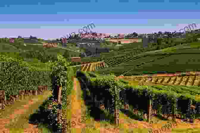 Panoramic View Of Verdant Vineyards In Piedmont, With Rows Of Vines And Distant Mountains. Experience Northern Italy 2024 A Z R