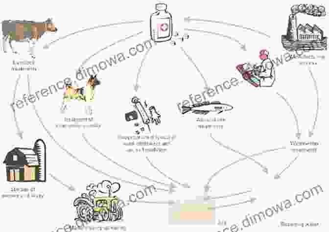 Pharmaceuticals Entering The Environment Reviews Of Environmental Contamination And Toxicology 204