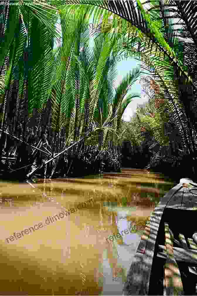 Rice Paddies In The Mekong Delta VIETNAM CAMBODIA Wildlife And Landscapes