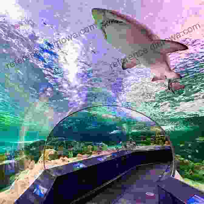 Ripley's Aquarium Top Ten Sights: Toronto Adam Benton