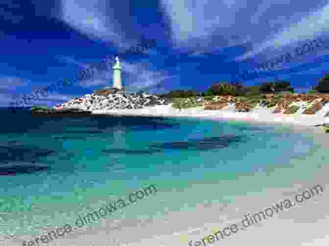 Rottnest Island With White Sandy Beaches And Turquoise Water Where To Take Visitors In PERTH