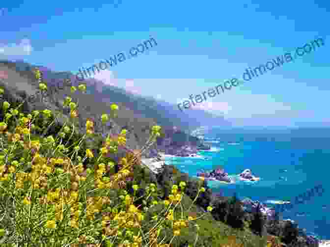 Scenic View Of The Big Sur Coastline Hollywood Escapes: The Moviegoer S Guide To Exploring Southern California S Great Outdoors