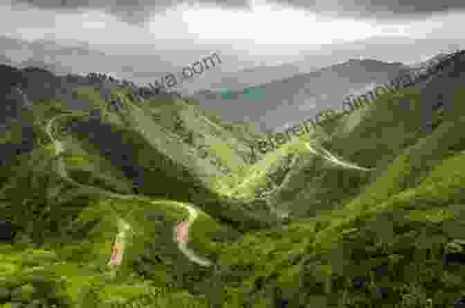 Stunning View Of A Mountain Trail Winding Through A Lush Green Valley In New Zealand Face Of The Mountain ~ True New Zealand Alpine Hiking Adventures: True New Zealand Alkpine Hiking Adventures