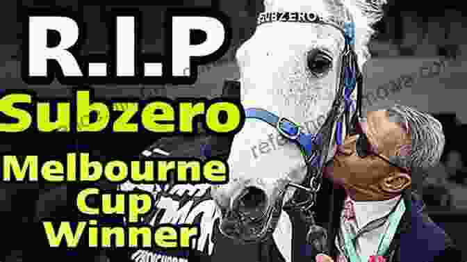 Subzero And Damien Oliver Winning The 1992 Melbourne Cup Subzero: More Than A Melbourne Cup Hero