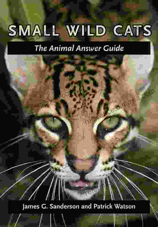 The Animal Answer Guide Book Cover Geckos: The Animal Answer Guide (The Animal Answer Guides: Q A For The Curious Naturalist)