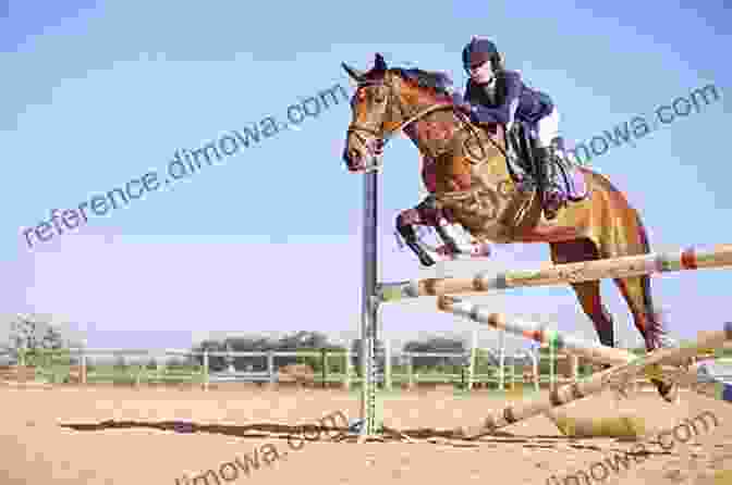 Trainer Working With A Horse Over Jumping Obstacles Show Jumping Made Easy Yuki Shiwasu