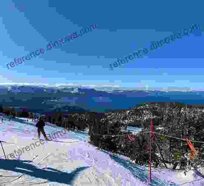 Vintage Skiers Enjoying The Slopes Of A Lost Tahoe Ski Area Lost Ski Areas Of Tahoe And Donner