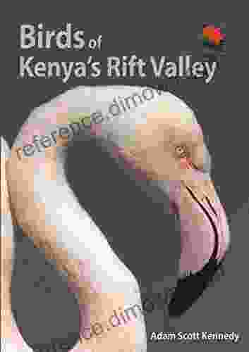 Birds of Kenya s Rift Valley (Wildlife Explorer Guides)