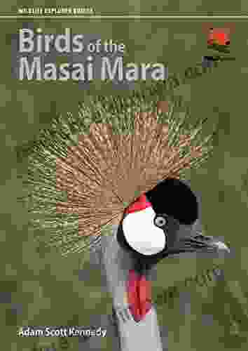 Birds Of The Masai Mara (Wildlife Explorer Guides)