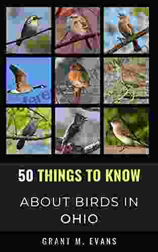 50 Things To Know About Birds In Ohio: Birdwatching In The Buckeye State (50 Things To Know About Birds United States)