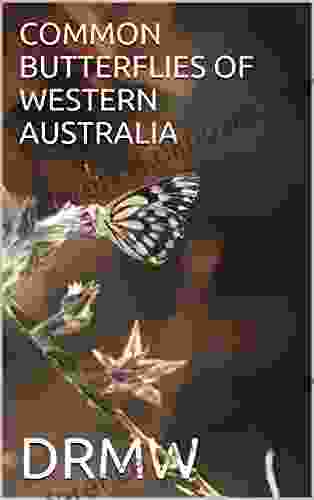 COMMON BUTTERFLIES OF WESTERN AUSTRALIA