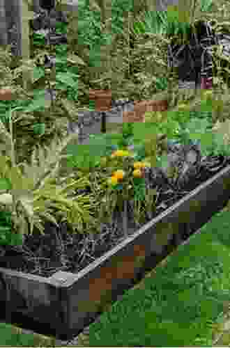 Backyard Vegetable Gardening: Guide To Make Your Own Backyard Organic Garden: Backyard Vegetable Garden