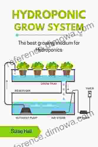 Hydroponic Grow System: The Best Growing Medium For Hydroponics