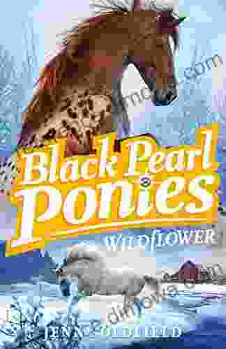 Wildflower: 2 (Black Pearl Ponies)